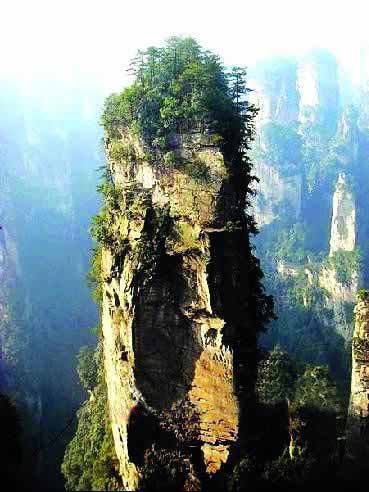 張家界國(guó)家地質(zhì)森林公園、黃石寨、金鞭溪休閑一日游