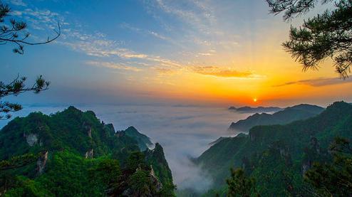 張家界森林公園（金鞭溪、袁家界、楊家界、天子山、十里畫廊）住山上2天1游（可看日出）